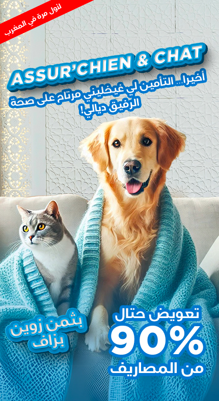 Assurance chien chat