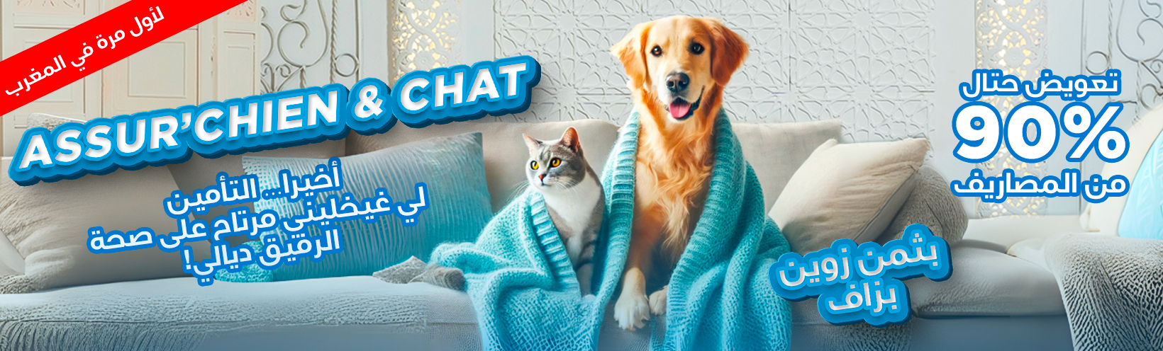 Assurance chien chat