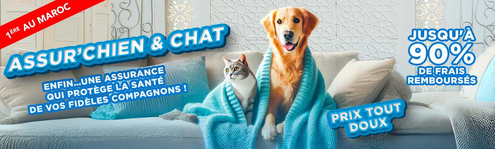 Assurance chien chat